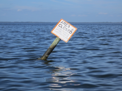 An orange-rimmed, faded sign in the water says "Area closed to pursuing, hunting, capturing, taking or killing of migratory birds"