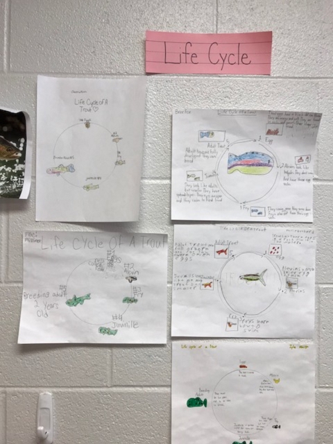 School work completed by students participating in the Trout in the Classroom program