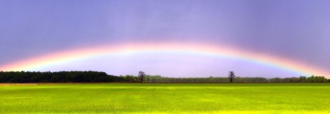 A rainbow over a bright green field