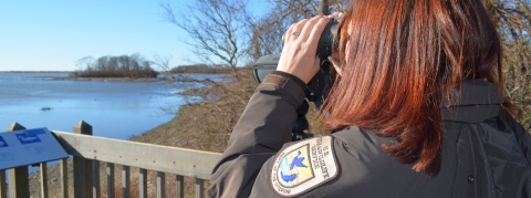 A woman in a U.S. Fish and Wildlife Service uniform using binoculars to look out over water