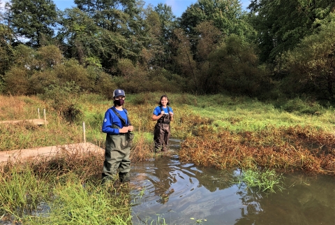 Two interns working in wetlands.