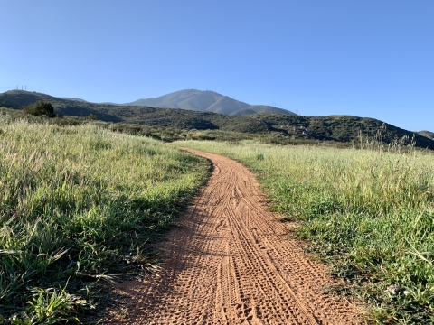 Trail leading from bottom center of image and winds to the left. Grasses surround the trail. In the background hills show before a tall mountain in the far back.