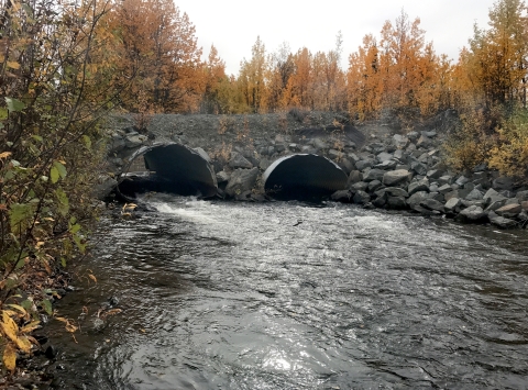 looking up two culverts in fall foliage