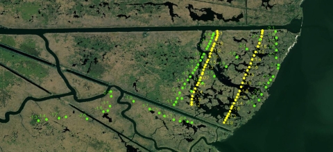 Louisiana Ecological Services GIS