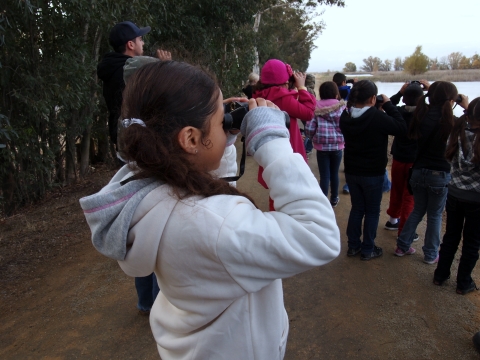a group of children are looking at a wetland through binoculars