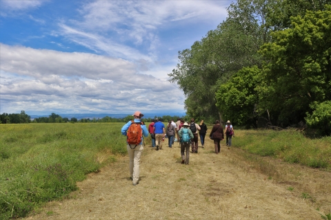 A dozen people walk along a trail with wetlands on one side and trees on the other.