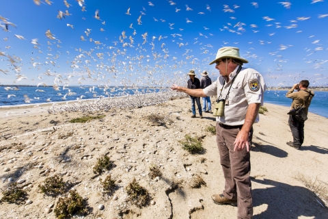 A Fish and Wildlife Service employee points to birds nesting at San Diego Bay National Wildlife Refuge.