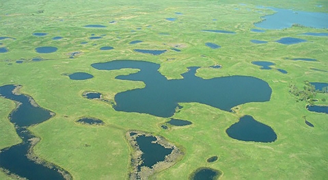Aerial view of prairie potholes