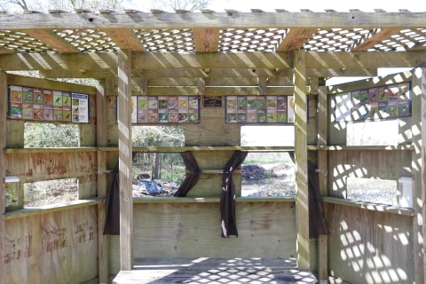 Toni Marchetti bird blind with water feature and quick reference bird display.