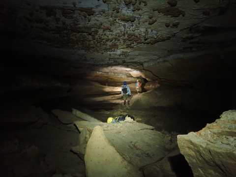 Survey team traverses Fern Cave during bioinventory.