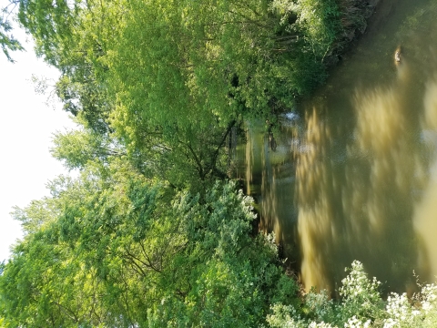 Sugar Creek at Arnold Road