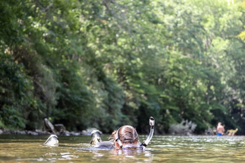 Snorkeler wading in shallow water