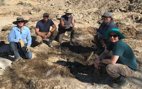 Five people kneeling around a newly planted small tree.