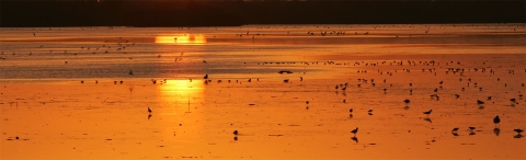Matlacha NWR sunrise bright orange across the water