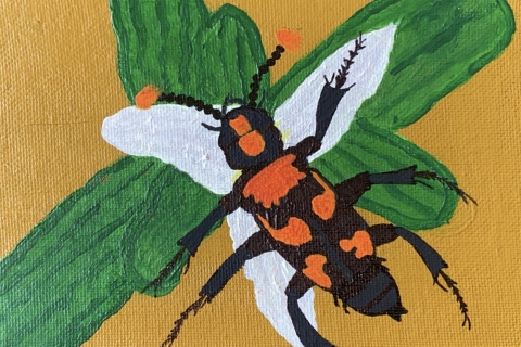 Painting of an American burying beetle and flowering Texas trillium.