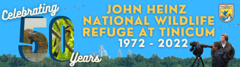 Celebrating 50 years of John Heinz National Wildlife Refuge 1972 to 2022. The background is of the Philadelphia skyline. The foreground has a uniformed biologist with a child looking through a scope. The 5 is a cutout shape of the observation tower. The 0 is a cutout of a magnolia warbler.