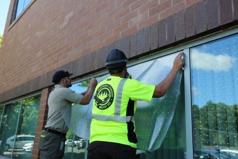two men install bird-friendly materials onto a glass window of a building