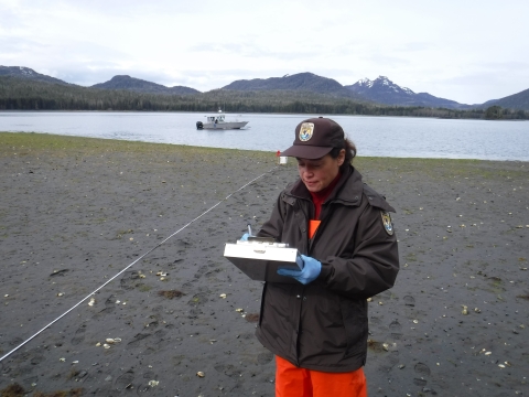 FWS biologist writing notes on clipboard while performing transect survey on shoreline while tide is out. Transect tape seen stretched out on beach. Boat on water in background.