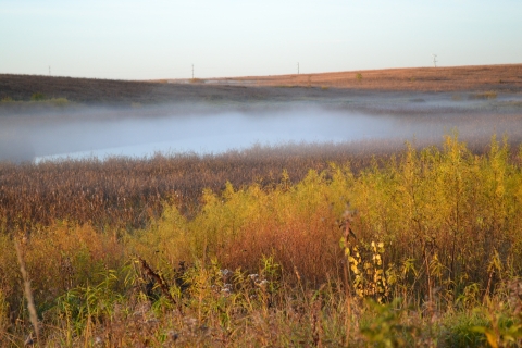 West Mallard Marsh covered in fog in early fall