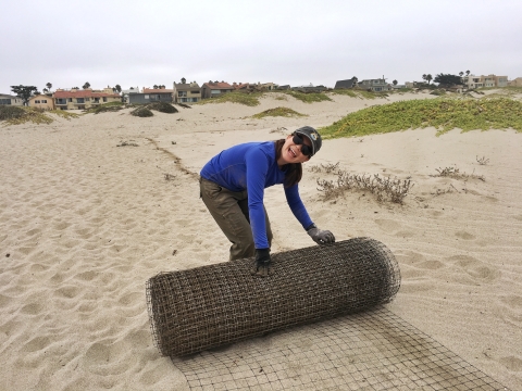 A woman unrolling a wire mesh fence along the sand