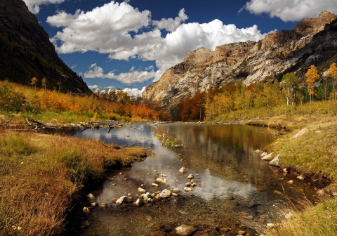 fall foliage in a mountain canyon with a stream in the middle of the canyon.