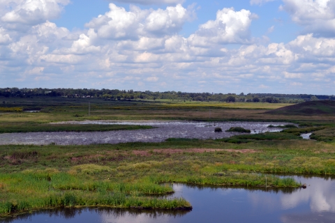 Wetlands under a blue sky with clouds