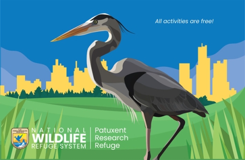 Poster for Urban Wildlife Conservation Day