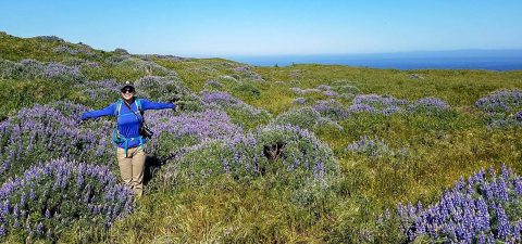 A woman standing with her arms outstretched in a field of purple wildflowers
