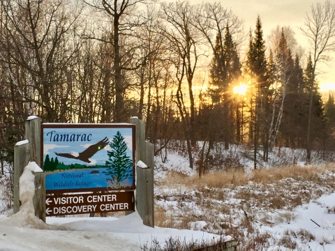 Tamarac National Wildlife Refuge Sign in Winter