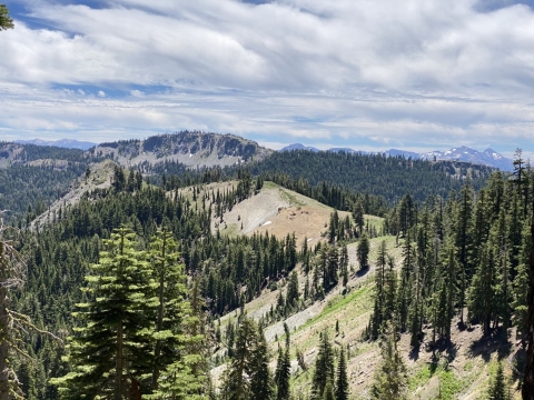 a mountain ridge is covered with patches of pine trees and dirt