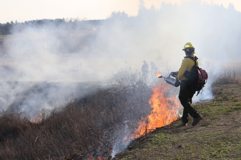 Man dressed in yellow shirt, yellow hardhat, green pants, and backpack holds metal torch to disperse fuel on dead vegetation; small fire is ignited near man's feet; heavy smoke in the air