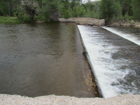 green tinted water rushing through a dam