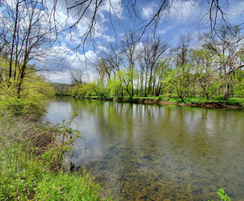 A clear, shallow river flows through bright green trees.