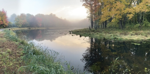 Wetland area with water, trees changing color to red and yellow, sun rise and a fog over the wetland area.