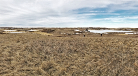 Grassland landscape with snow covered wetlands and two USFWS employees.