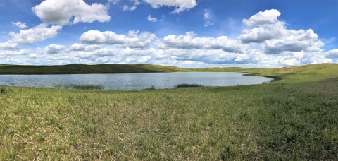 A lake surrounded by grass below a blue sky filled with puffy clouds.