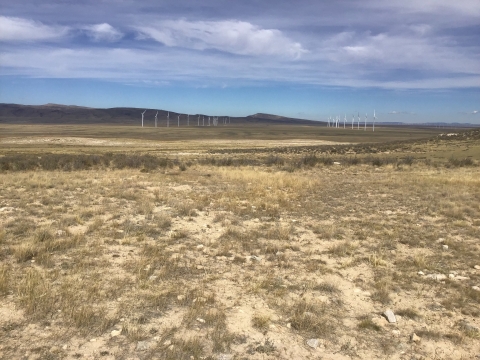 rocky grassy field landscape of Wyoming with wind turbines in the background