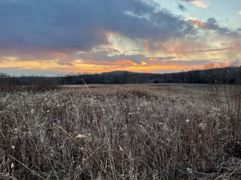 Sunset from Dagmar Dale North Trail at Wallkill River National Wildlife Refuge