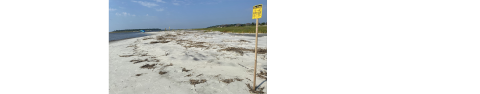 A sign that reads area closed is posted on the sand along the beach.