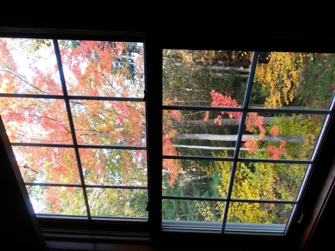 Trees with red, orange and yellow leaves can be seen out a window