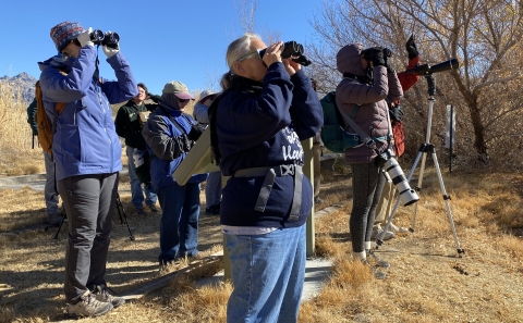 People looking for birds using binoculars
