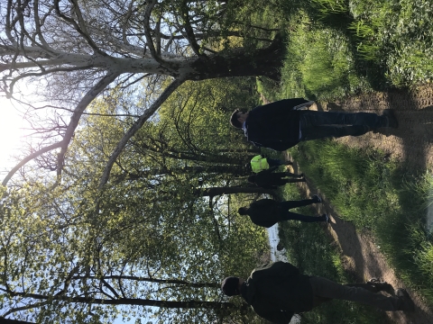 Group of people walking along river with large tree.