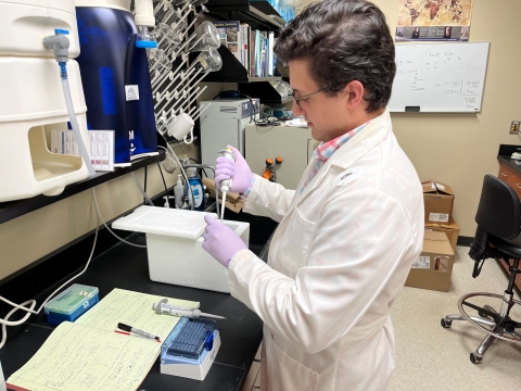 Lab researcher conducting PCR and RNA quantification