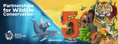 Colorful art showing a whale and manta ray underwater, then a tiger, bird, snake, youth, and the number fifty in front of a yellow sunny sky. Text reads Partnerships for Wildlife Conservation. World Wildlife Day 3 March. #WWD2023
