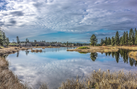 A cloud filled sky is reflected on a still pond. Conifer trees dot the shoreline