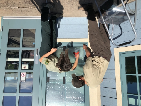 Two U.S. Forest Service employees apply bird-friendly window treatment at Chequamegon-Nicolet National Forest, Northern Great Lakes Visitor Center