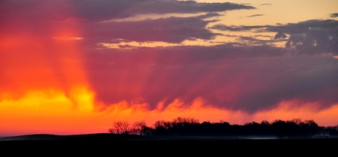 sky of orange, yellows, and purples