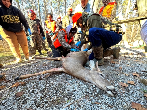 University students in hunter orange and camouflage look on as Bill Freeman shows them how to process a deer. 