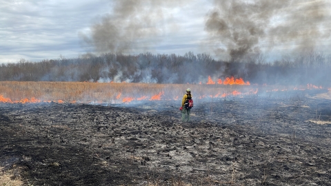 Wildland firefighter stands in the black, closely monitoring the fire line as flames climb grasses and smoke lifts above the forest in the background