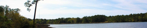 A wide angle photo shows water and forest in Weeks Bay marsh, Alabama.